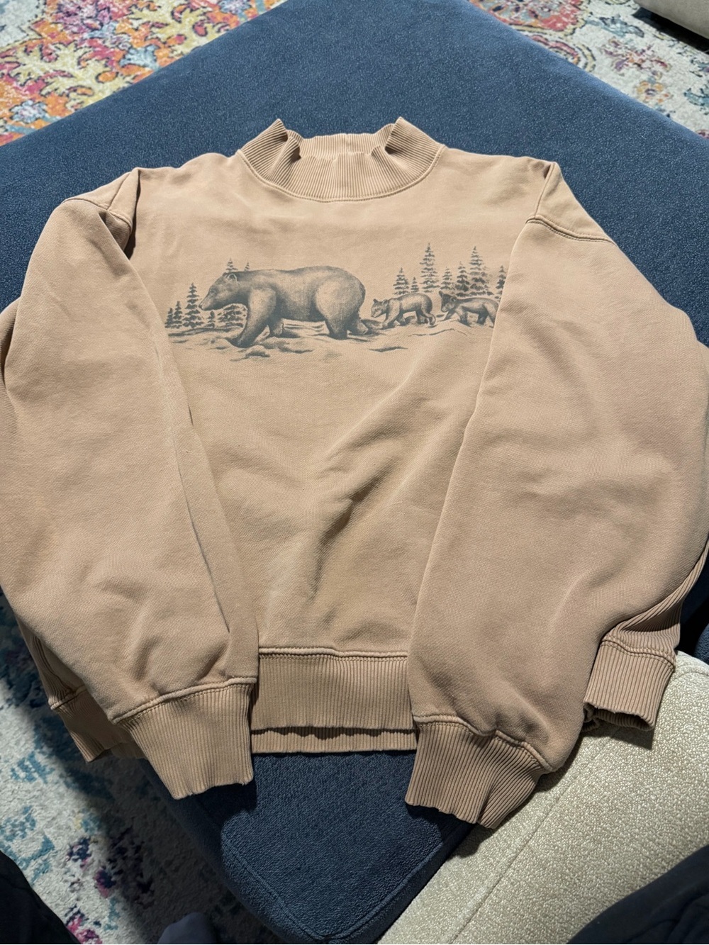American Eagle Outfitters Tan Bear Graphic Crewneck Sweatshirt